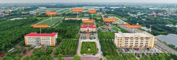 hinhanh